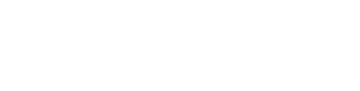 NORMICRO